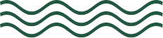 waves